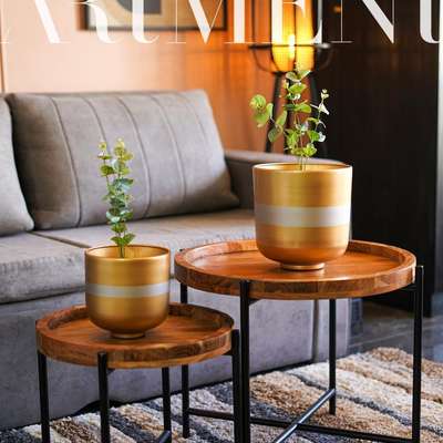 Glimmering Garden Gem Metal Planter

"Plant some happiness and watch it grow with this gorgeous, golden, and silver stunner of a planter!"#theartment#findyourart#homedecor#interiordesign#homeinspo#homedesign#interiorstyling#homestyle#interiorinspo#decor#homedecoration#homemakeover#homerenovation#interiorandhome#interior4all#interiordecorating #decorshopping