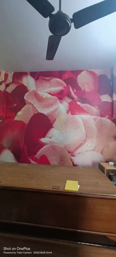 3D wallpaper. 65 rupees sqft only