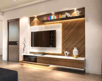 proposed tv unit