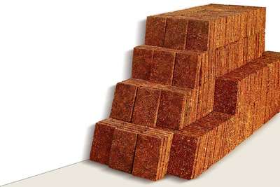 #watsapp... voice only 8075109285