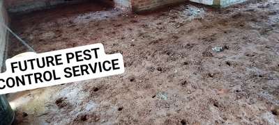 FUTURE PEST CONTROL
ചിതൽ വരാതെ ഇരിക്കുവാനുള്ള ട്രീറ്റ്മെന്റ് (Anti Termite Treatment) - ചില സംശയങ്ങളും ഉത്തരങ്ങളും 

Q:- ATT (Anti termite Treatment) ചെയ്യേണ്ട കാര്യം ഉണ്ടോ?
A:- ATT ചെയ്യേണ്ട ആവശ്യകത വളരെ വലുതാണ് തുടക്കം തന്നെ ട്രീറ്റ്മെന്റ് ചെയ്താൽ വളരെ കുറെ കാലം വരെ ചിതലിനെ പറ്റി പേടിക്കുകയെ വേണ്ട. ഇപ്പോഴത്തെ മണ്ണിന്റെ സാഹചര്യത്തിൽ ഘടനയുടെ വിത്യാസം മണ്ണിന്റെ നനവ് എന്നിവയുടെ അടിസ്ഥാനത്തിൽ ചിതൽ വരാൻ ഉള്ള സാധ്യത വളരെ കൂടുതലാണ്.

Q:- ഈ ട്രീറ്റ്മെന്റ് ചെയ്യുന്നത് കൊണ്ട് മനുഷ്യനോ ആ വീട്ടിൽ താസിക്കുന്നതിനോ എന്തെങ്കിലും ആരോഗ്യ പ്രശനങ്ങൾ ഉണ്ടാകുമോ?
A:- ഇല്ല ആ ഒരു പേടി വേണ്ട കൃത്യമായ അളവിലും എക്കോ ഫ്രണ്ട്‌ലി ആയിട്ടുള്ള മരുന്നാണ് ഉപയോഗിക്കുന്നത് മനുഷ്യന് യാതൊരു വിധത്തിൽ ഉള്ള ആരോഗ്യപ്രശ്നങ്ങളും ഉണ്ടാകുന്നില്ല ചിതലിനു വേണ്ടി മാത്രമുള്ള മരുന്നാണ് future pest control ഉപയോഗിക്കുന്നത്.

Q:- ചിതൽ വന്നു കഴിഞ്ഞു ഈ ട്രീറ്റ്മെന്റ് ചെയ്യുവാൻ സാധിക്കുമോ?അതിനു എത്ര വർഷം ആണ് കാലാവധി?
A:- തീർച്ചയായും ചെയ്യുവാൻ സാധിക്കും വന്നു കഴിഞ്ഞും പൂർണമായിതന്നെചിതലിനെ ട്രീറ്റ്മെന്റ ചെയ്യുന്നതിലൂടെ നിയന്ത്രിക്കാൻസാധിക്കും