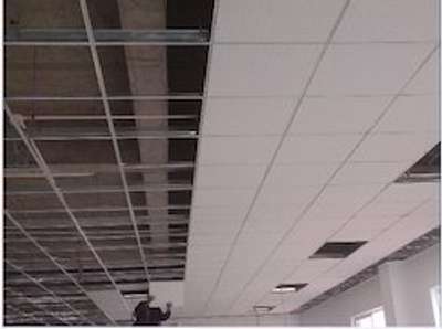 grid ceiling for office