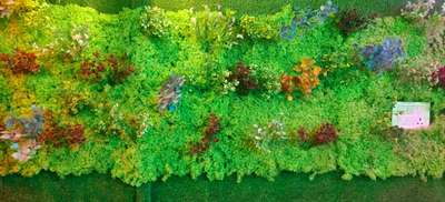 vertical garden designing