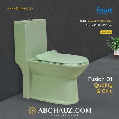 Fovit Single Piece Toilet
 #BathroomDesigns  #BathroomIdeas  #BathroomRenovation  #toiletdesign  #toilet  #onepiececloset