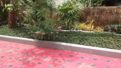 glitter designz landscape & pools
tvm, poojapura

contact: 9447447618,
                7012547317 
 #garden  #VerticalGarden  #RoseGarden  #BalconyGarden  #FlowerGarden  #KitchenGarden  #RockGarden  #gardendesigner  #gardening  #gardenstone  #MexicanGrass  #zoasisgreengrass  #LandscapeGarden  #pebbleswork  #plantsofinstagram 
https://koloapp.in/posts/1628774335