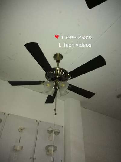 Fan with light