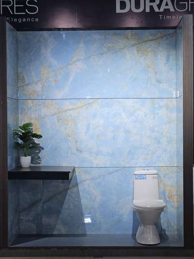 #asarvatiles  #skybluedesigns #BathroomTIles