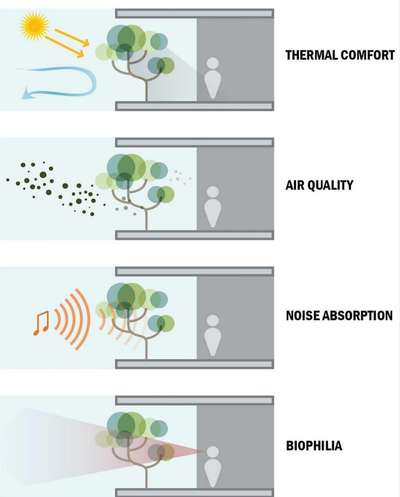 Advantages of the 'vertical forest in tower.

if you like l, support me to proceed follow & share  #architecturedesigns #Architect #study #information