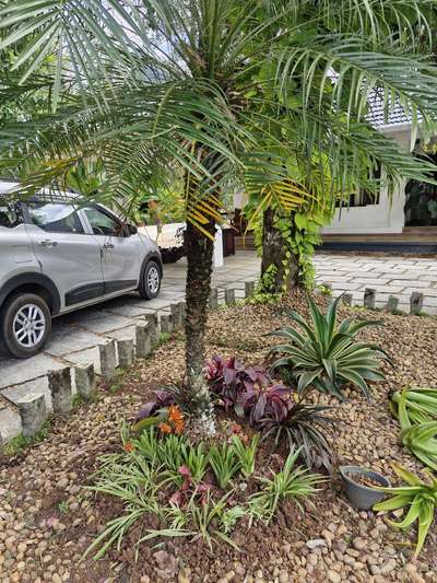 #GardeningIdeas  garden maintenance work