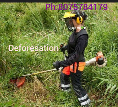 # deforesation#🔥#green he💚rt stone work & Land Scaping#