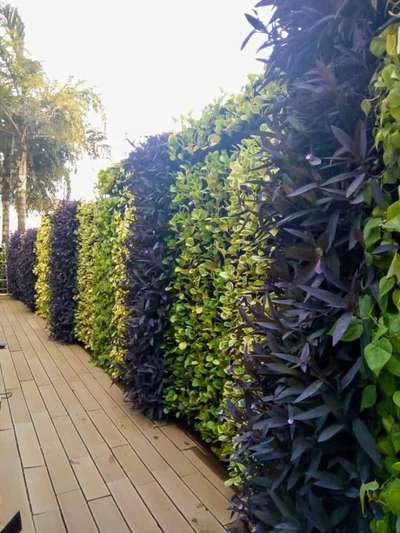 Beautiful Wall vertical Garden Any requirement please contact ABIYAGARDEN.