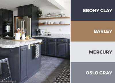 what color for kitchen?

What color combo for kitchen would you prefer?

Adukalakku ethu niram nalkum ningal?