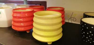 Ceramic Pots

 #plants  #planters  #ceramicpots  #claypot  #garden  #indoorgarden