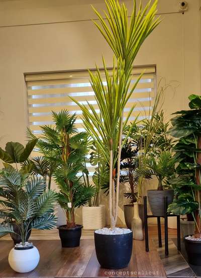 Adding richness of Greenery to great interiors


 #IndoorPlants  #greencaplandscape  #artificialplants