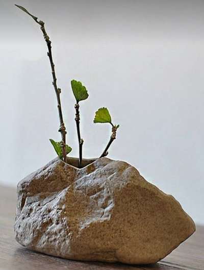 #planters  #planterbox  #planter  #minigarden