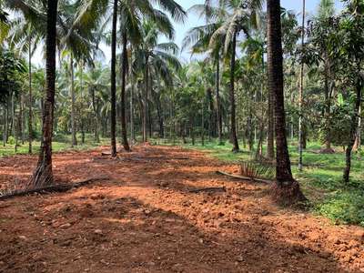 Site for  villa project near guruvayoor .Site visit completed