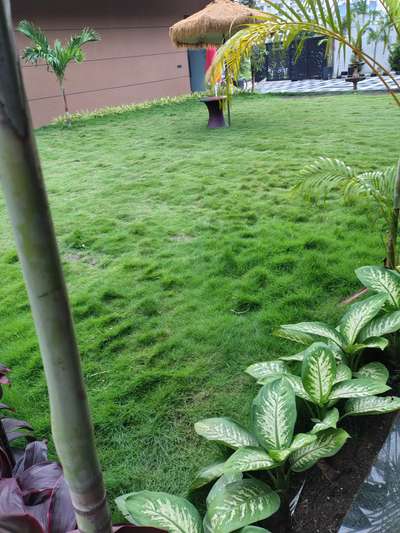Gardening, paver blocks installation  #landscapingforhouses #paverblocks #IndoorPlants #outdoorplant