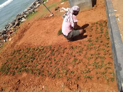 calicut beach lawn works in progressing