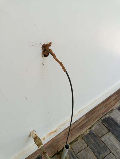 The issue of electrical failure of cables due to termite attack has been recognized for over  years. Termites will rule the house and will force the resident to evacuate. Sometimes homeowner’s complaint of short circuits without any valid reason for such mess to occur. Several times we come across such a situation where the electric wires and cable are damaged badly by termites.

The termites are unaware of the use of cables and they feed on them by gnawing through electric cables and wire and thus causing damage to the wires and cables. The termites get easily attracted to those old electric wires which contain cellulosic material and these wires which are destroyed has the high possibility of short circuits and power failures and buildup of earthen material around power points. Termites use the electric boards to move from one place to another. If there is termite infestation behind a wall activity then it can prove to be shock or fire hazard
#termitecontrol #Anti-Termite