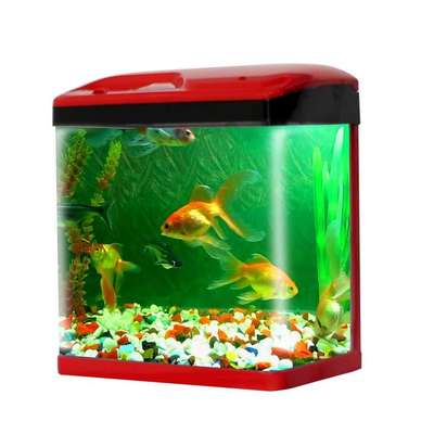 Fish Aquarium Small Tank-15 LTR (Color May Vary, Rust Resistant) Desktop Aquarium Tank with LED and Filter
for buy online link
https://amzn.to/3D4njCd
for more information watch video
https://youtu.be/PhZ4mzpMbkw
https://youtu.be/-CCGMuhbj90