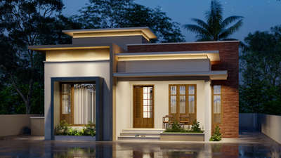 budjet home

area 900sqft