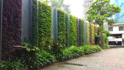 green wall vertical Auto matic watering system