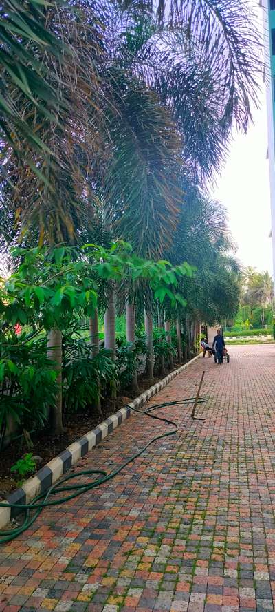 Garden maintenance @nikunjam trivandrum

#Landscape #LandscapeDesign #landscapingforhouses #landscapearchitecture #Architect #architecturedesigns #Contractor #HouseConstruction #kerala #trivantrum #kazhakoottam #keralaarchitect