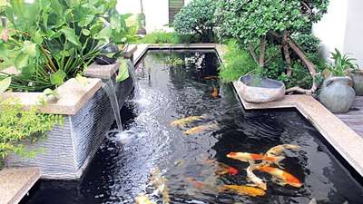 #koiponddesign #koipond #koifish #waterfeature #pond #pondscaping #koicarp #fishtank #fishpond #fish