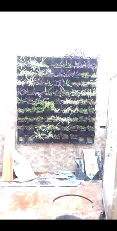 *vertical Garden*
hi