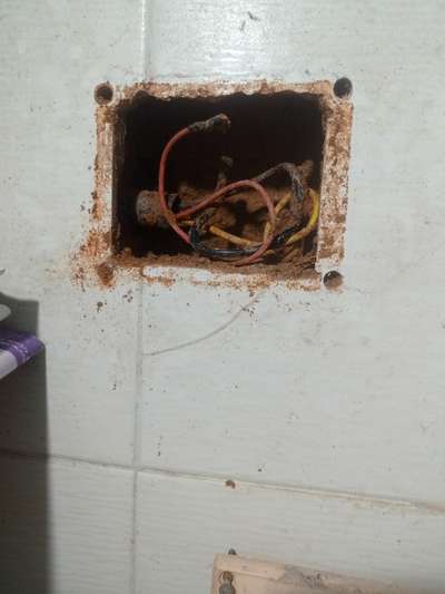 #Termite in power plug