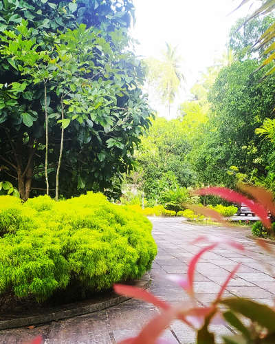 Garden












#kuttippuram❤️ #kuttippuram #kuttippurambridge #kuttippuram_vibes #keralahomes #keralahouse #keralahousedesign #keralahouses #india #kerala #valanchery #valanchery✌ #valancherytown #edappal #edappaltown #tirur #mytirur #tirurvibes #tirurkkaran #puthanathani #puthanathani_monjanz #puthanathani😍😉😉 #ᴘᴜᴛʜᴀɴᴀᴛʜᴀɴɪ #kottakkal #kottakkal_town #vettichira #vettichira☺ #vettichiralive #vettichira_majmau #vettichirawaterfalls #vettichiraതമ #kanjippura #kanjippuraboys #kanjippuramoodalbyepass #valancherykaar_ #valanchery_city✌✌ #valanchery_vibe✌✌