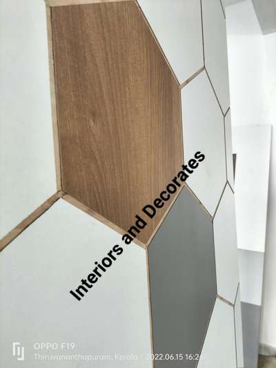 door models