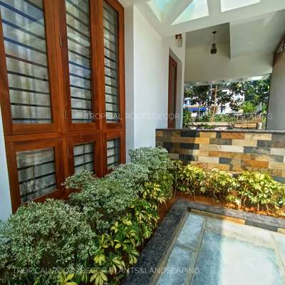 Client Location Angamaly, Ernakulam-home elevation#flower trough garden #plants.tropical roots landscaping.