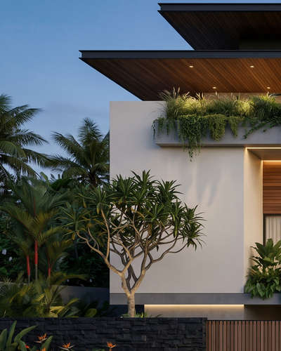 Kerala residential project
BUDGET - 1cr