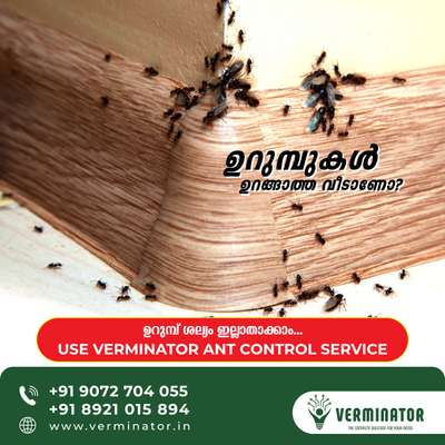 🐜 professional ant control treatment in kannur, kasargod, wayanad, Kozhikode and malappuram #pestcontrol #Anti-Termite #termitecontrol #Kozhikode #Kannur #Wayanad #Malappuram #Kasargod