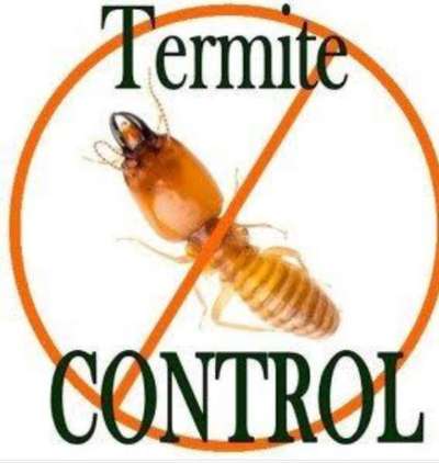 #pestcontrol 🐛

▶️ anti termite treatment