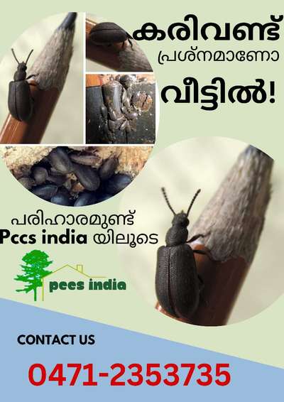 #pestcontrolservices 
#pccsindia