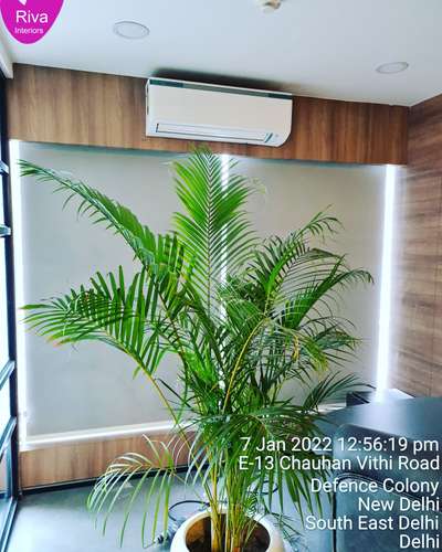 Riva Interiors ☎ 9868602114 .🏬
Wallpapers ☆ Pvc wall panel  ☆ Customised  Wallpaper ☆ Window  Blinds  ☆ Suncontrol  Glass Film  ☆   Wooden Floor ☆ Pvc Flooring ☆ Grass . Carpet ☆False  Ceiling ☆ 3M Glass Film ☆ We are one of the leading Customised wallpaper Company in India. We can develop and design, according to your requirements.  Customised roller blinds along with the Glass film are one of the products from our assortment.  We have millions of Exclusive 3D designs.