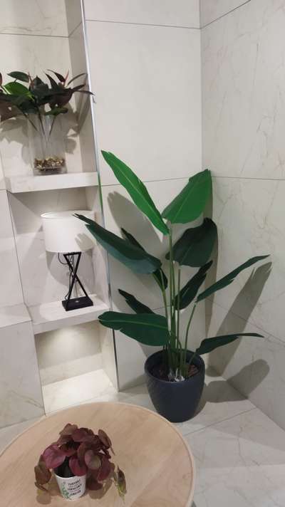#BathroomDesigns  #BathroomTIles  #BathroomIdeas  #BathroomRenovation  #bathroom