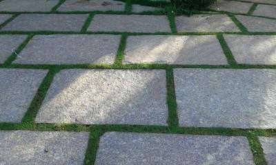 *Bangalore stone *
Bangalore stone landscaping work