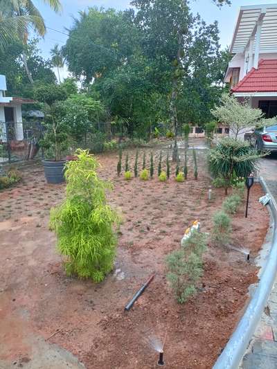 ongoing landscaping by tropical roots#pearl grass#springler#irrigation#gardening#topiary plants#9747927921#9074983788