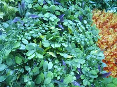 vartical garden #artificialgrass #artificialwallplants 
#artificialgardengrass
