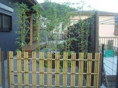 #bambooFences