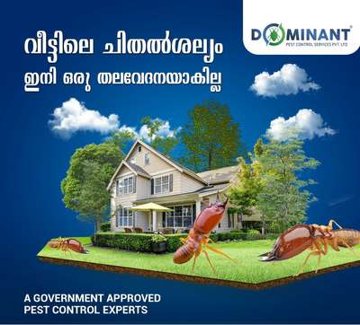 For Enquiries 8089618518
All Kerala Service With Warranty.. #Anti-Termite