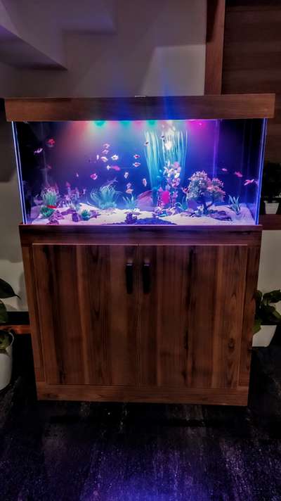 #modular  #aquascaping  #naturefriendlydesign  #aquarium  #LivingroomDesigns, #positivevibes