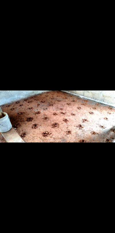 New work, ANTI TERMITE TREATMENT, TVM, NEMOM
#antitermite #Anti-Termite #termitetreatment #futurepestcontrol #9746156450 #9846023621 #allkeralapestcontrol #allkerala #AllKeralaDeliveryAvailible #lowcost #High_Quality #professionals #professionalism #termiteproof #termiteresistant #termitepipe