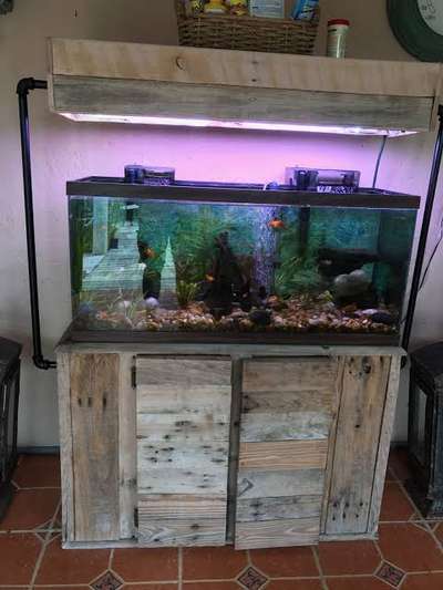 customised aquarium for your interior  #aquarium #aquascaping #wallaquariums