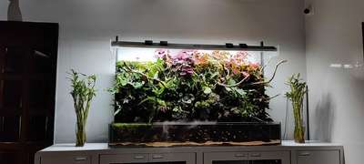 paludarium 
for more details 
9497774547