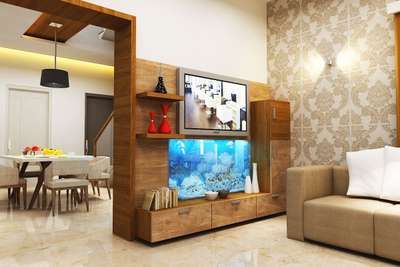 Concealed Aqua & TV