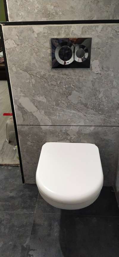 wall Hung seat with Conshied tank  #toiletinterior